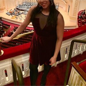 Forever 21 Velvet Mesh dress